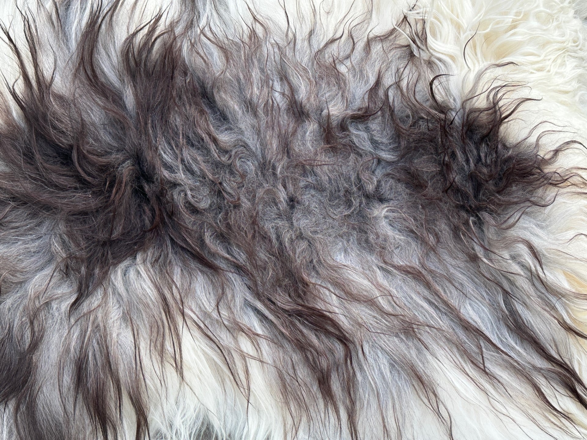 Natural Grey (Mixed White & Black) Long Haired Icelandic Sheepskin Rug ...
