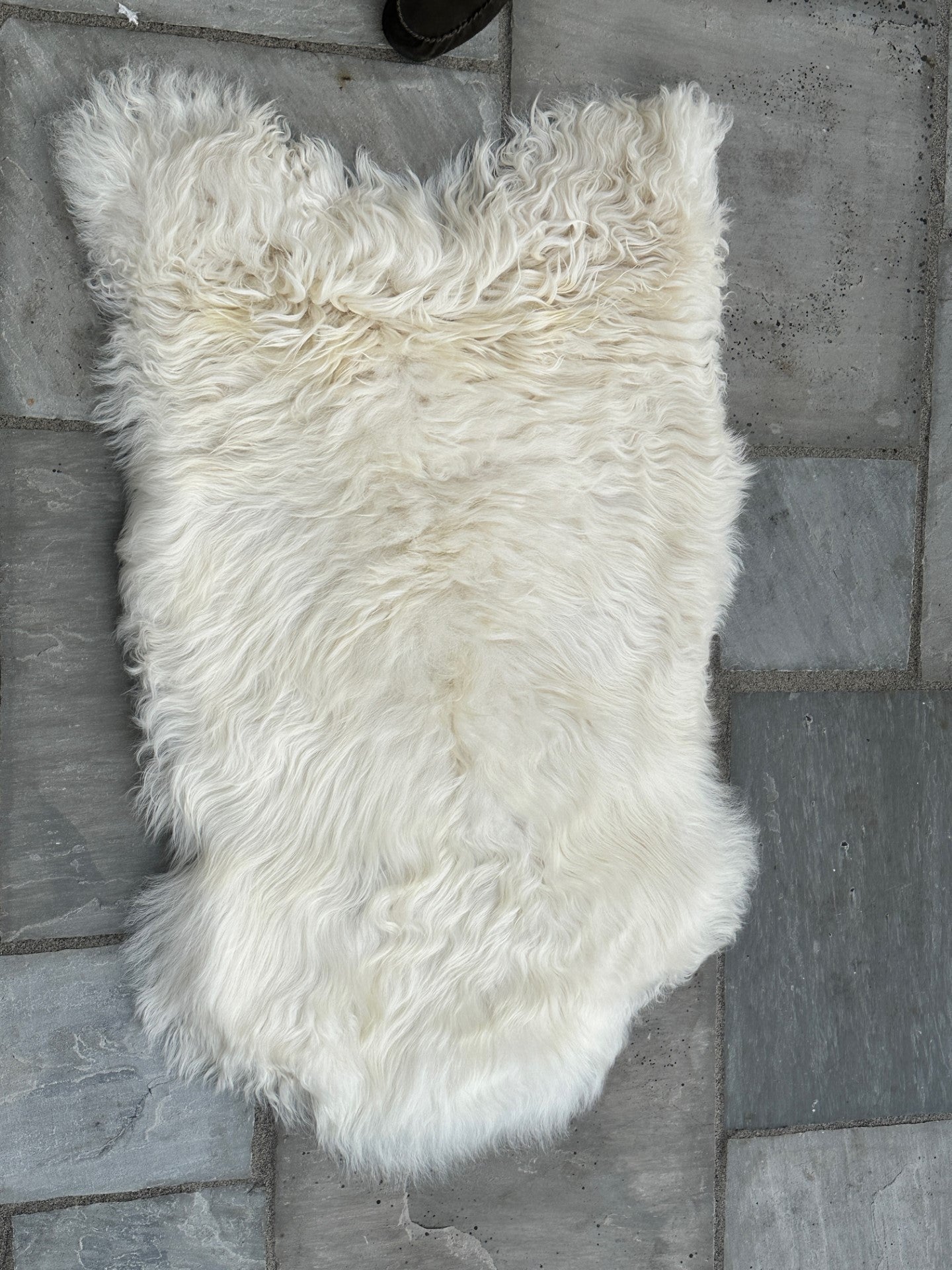 Natural White Long Haired Icelandic Sheepskin Rug – CASTLE WOOLS